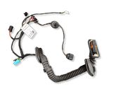 Rear door wiring loom