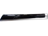 Rear door trim (molding)