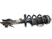Front shock absorber/damper