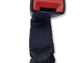 Rear seatbelt buckle