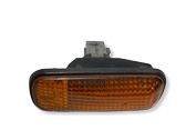 Front fender indicator light
