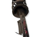 Front shock absorber with coil spring