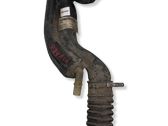 Fuel tank filler neck pipe