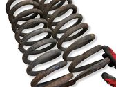 Rear coil spring