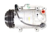 Air conditioning (A/C) compressor (pump)