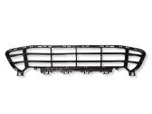 Front bumper lower grill