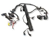 Engine installation wiring loom