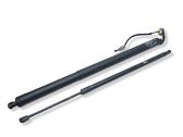 Tailgate/trunk strut/damper