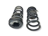 Rear coil spring
