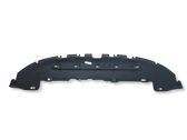 Front bumper skid plate/under tray