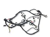 Engine installation wiring loom