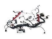 Engine installation wiring loom
