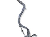 Fuel tank filler neck pipe
