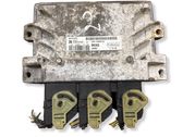 Engine control unit/module