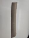 (A) pillar trim