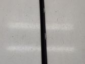 Rear door glass trim molding
