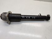 Rear shock absorber/damper