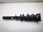 Front shock absorber with coil spring