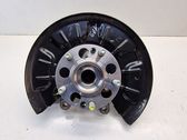 Rear wheel hub