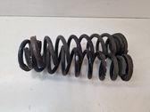 Rear coil spring