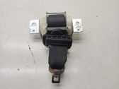 Roof seat belt