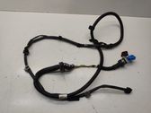 Other wiring loom