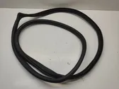 Rear door rubber seal (on body)