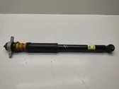 Rear shock absorber/damper