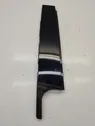 Rear door glass trim molding