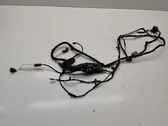 Rear door wiring loom