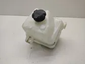 Coolant expansion tank/reservoir cap