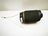 Amortiguador/suspensión neumática trasera