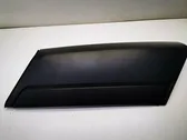 Rear door trim (molding)