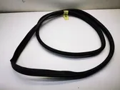 Rear door rubber seal (on body)