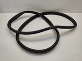 Rear door rubber seal (on body)