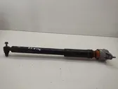 Rear shock absorber/damper