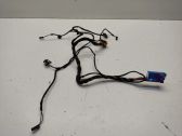 Front door wiring loom