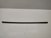 Rear door glass trim molding
