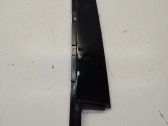Rear door glass trim molding