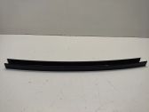 Rear door glass trim molding