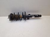Front shock absorber with coil spring