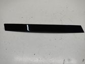 Rear door glass trim molding