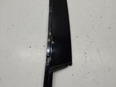 Front door glass trim molding