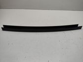 Rear door glass trim molding