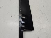 Rear door glass trim molding