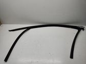 Front door glass trim molding