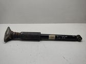 Rear shock absorber/damper