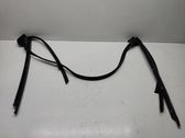 Windshield trim