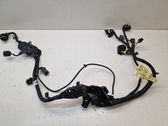 Gearbox/transmission wiring loom
