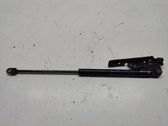 Tailgate/trunk strut/damper